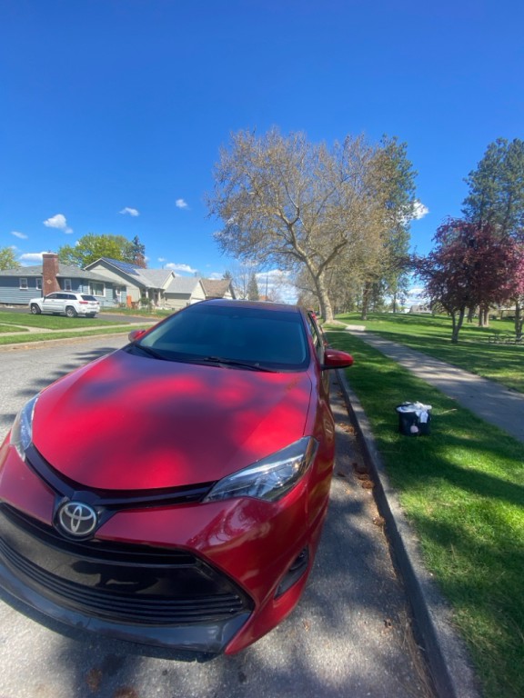 2017 Toyota Corolla Image 4
