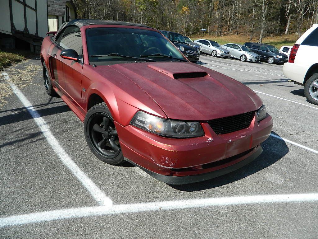 2002 Ford Mustang Image 1