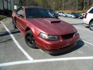 Image for 2002 Ford Mustang GT ID: 6985300