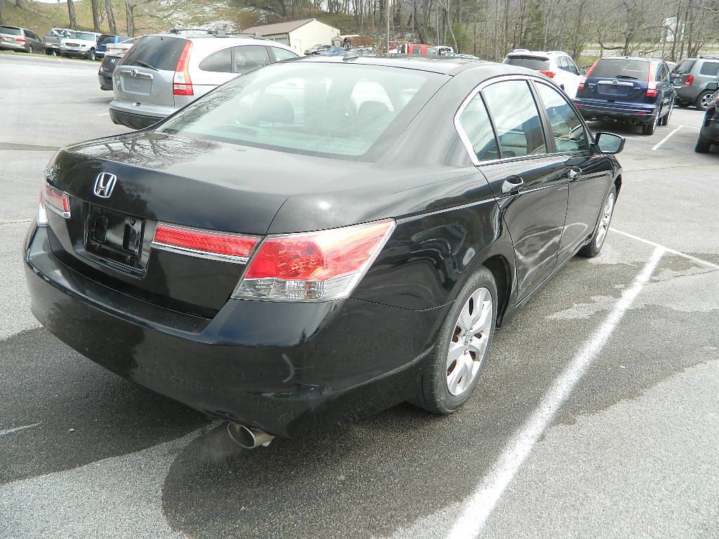 2011 Honda Accord Image 3
