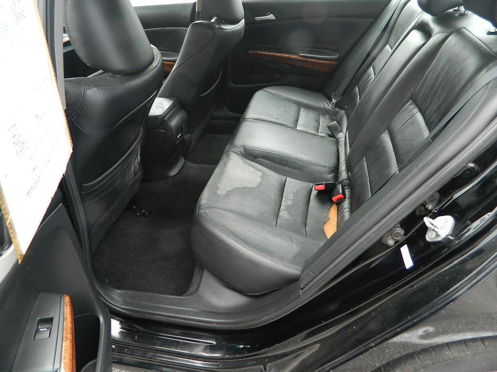 2011 Honda Accord Image 7