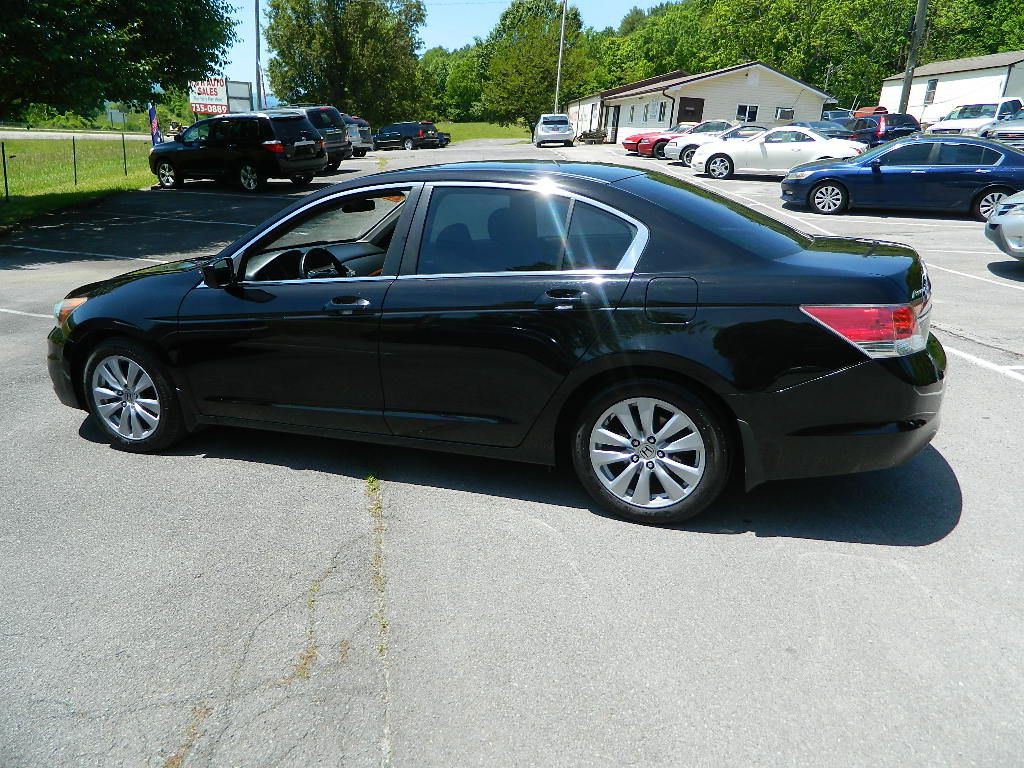 2011 Honda Accord Image 5