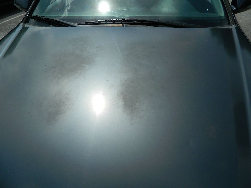2007 Acura TSX Image 7