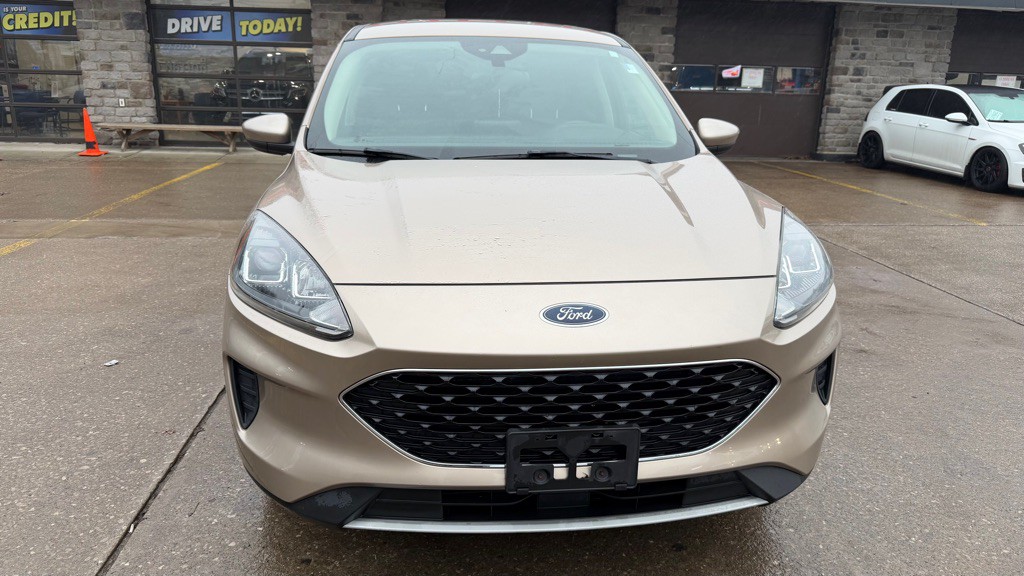 2020 Ford Escape Image 7