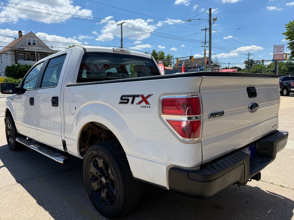 2014 Ford F-150 Image 3