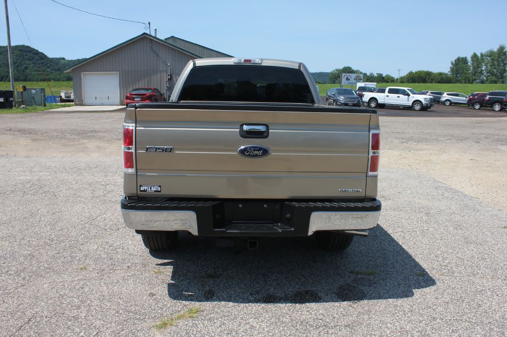 2012 Ford F-150 Image 7