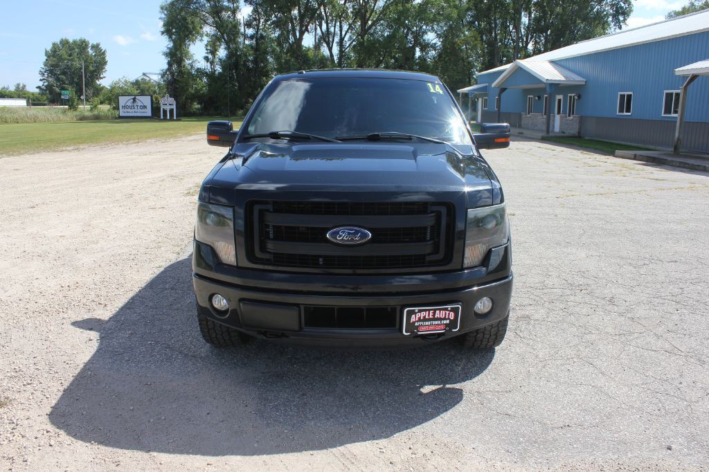2014 Ford F-150 Image 3