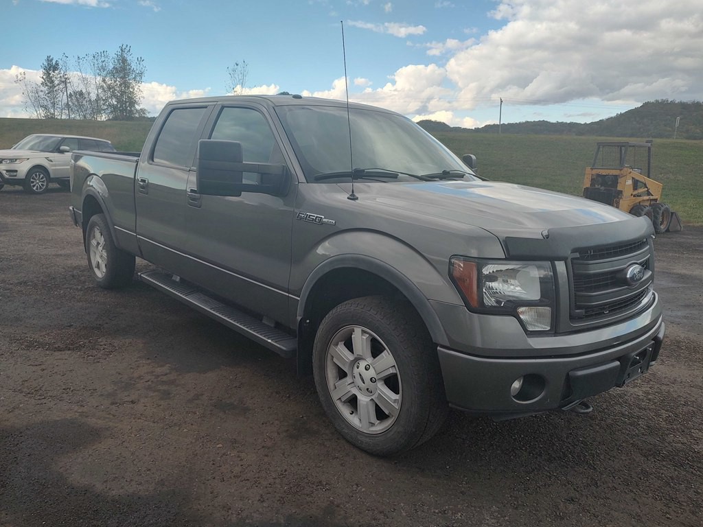 2013 Ford F-150 Image 2