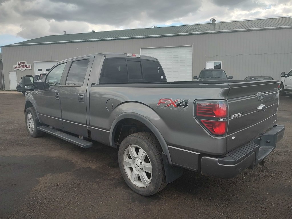 2013 Ford F-150 Image 4