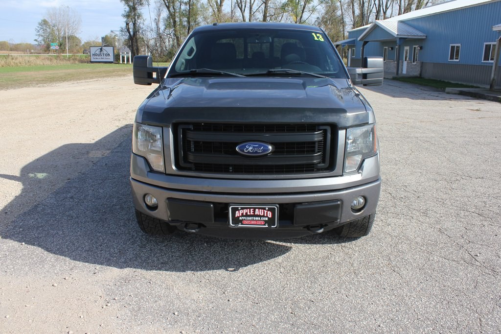 2013 Ford F-150 Image 3
