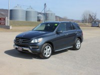 Image for 2015 Mercedes-Benz M-Class ML 350 4MATIC ID: 7007074