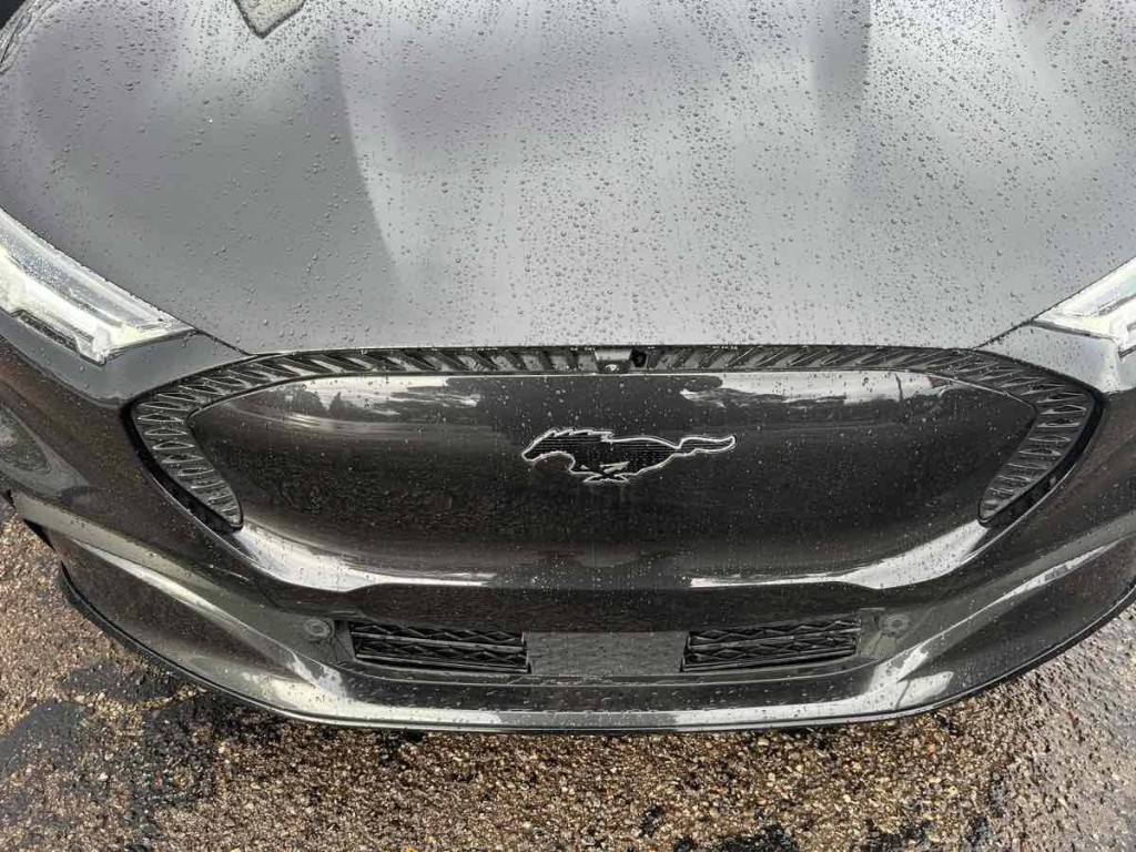 2021 Ford Mustang Image 6