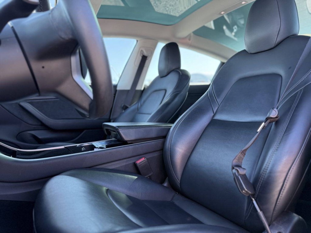 2020 Tesla Model 3 Image 12