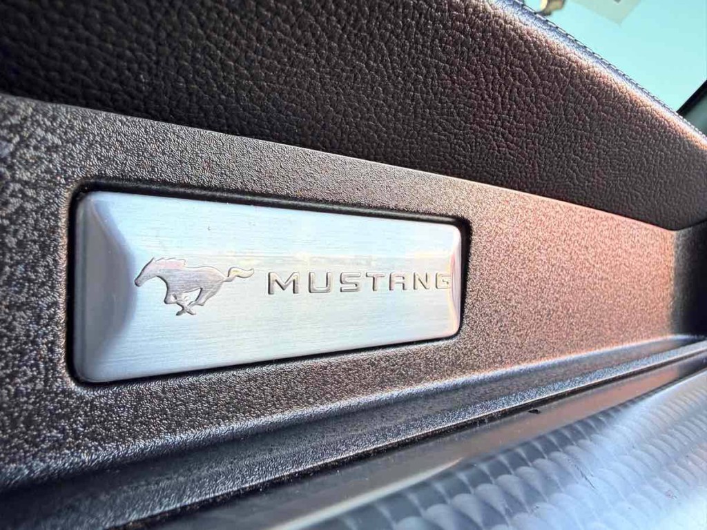 2019 Ford Mustang Image 18