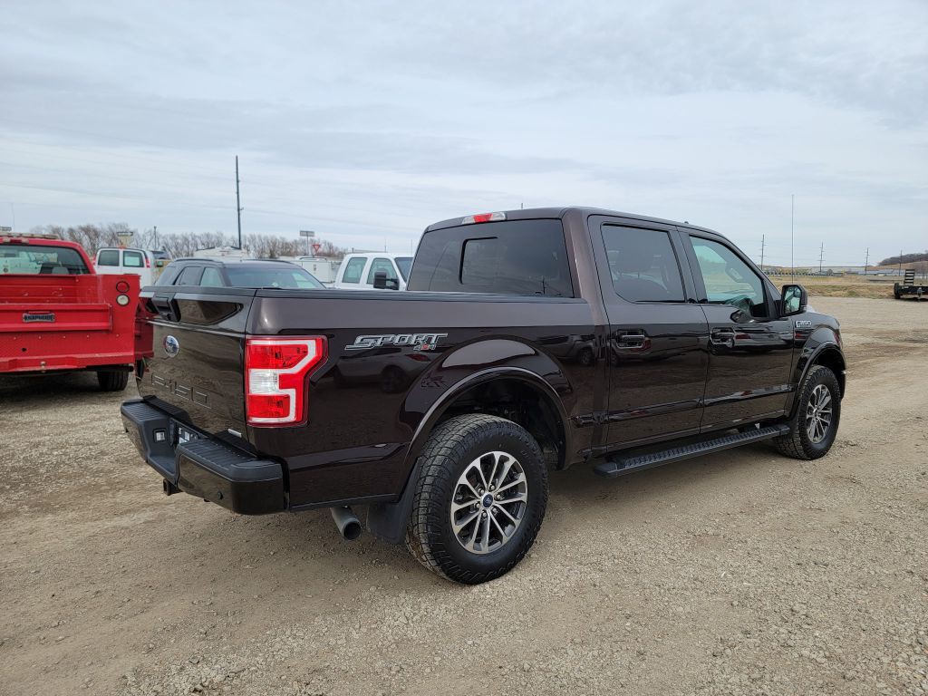 2019 Ford F-150 Image 4