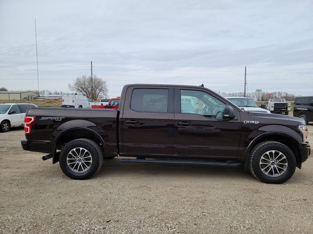 2019 Ford F-150 Image 5