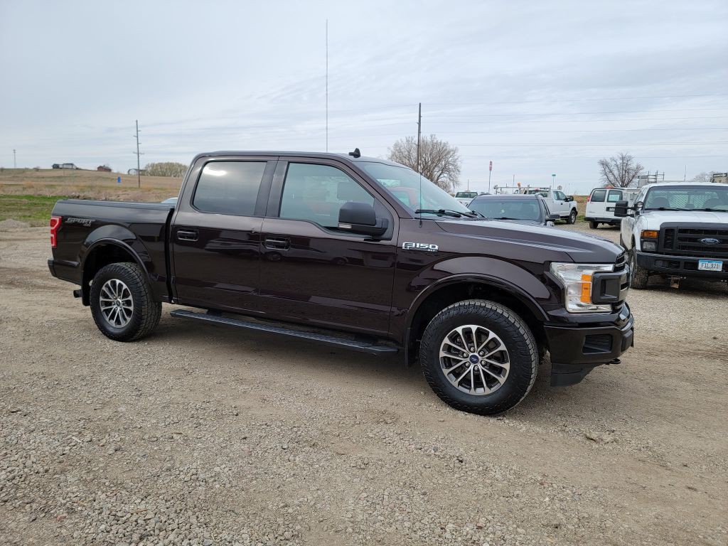 2019 Ford F-150 Image 6