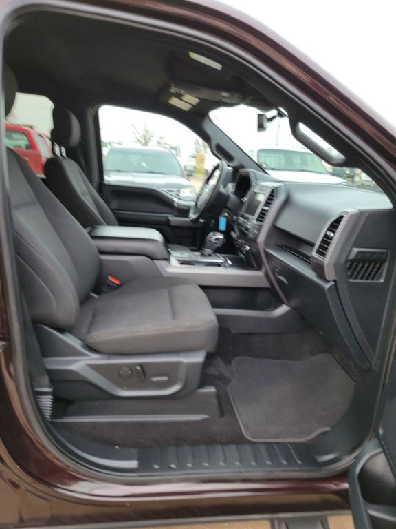 2019 Ford F-150 Image 13