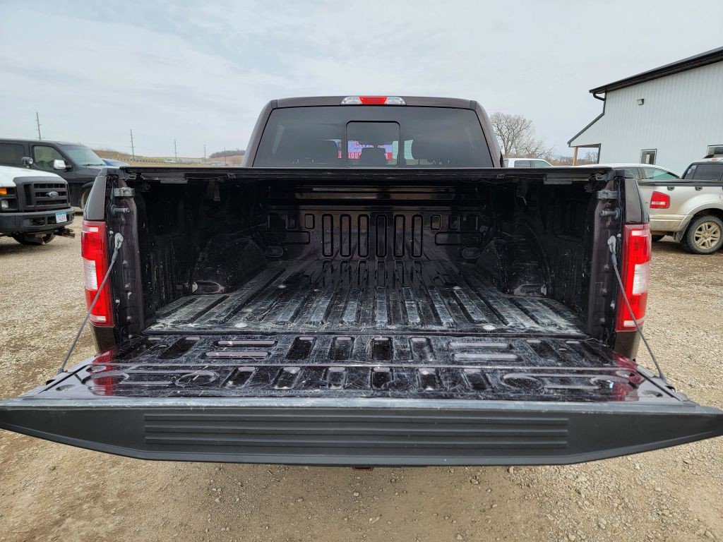 2019 Ford F-150 Image 16