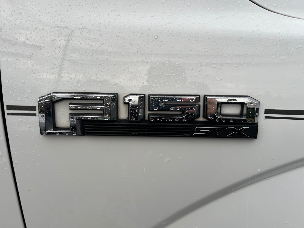 2019 Ford F-150 Image 5