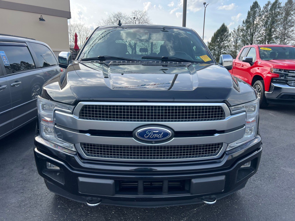 2019 Ford F-150 Image 2