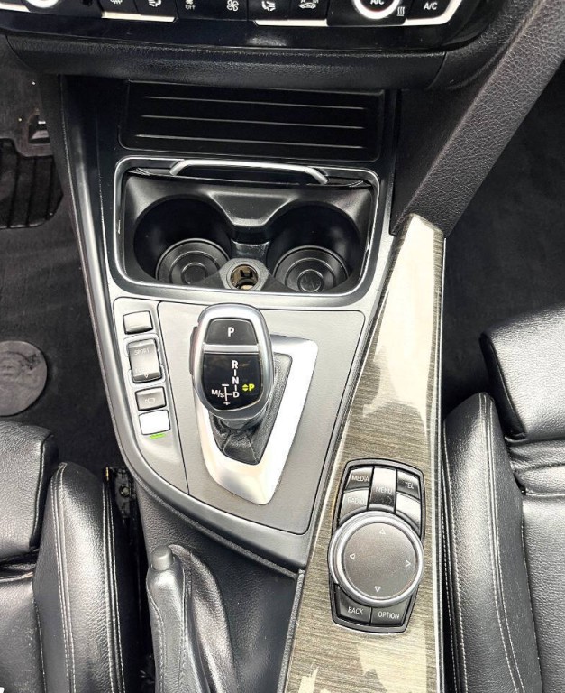 2016 BMW 3 Series Image 19