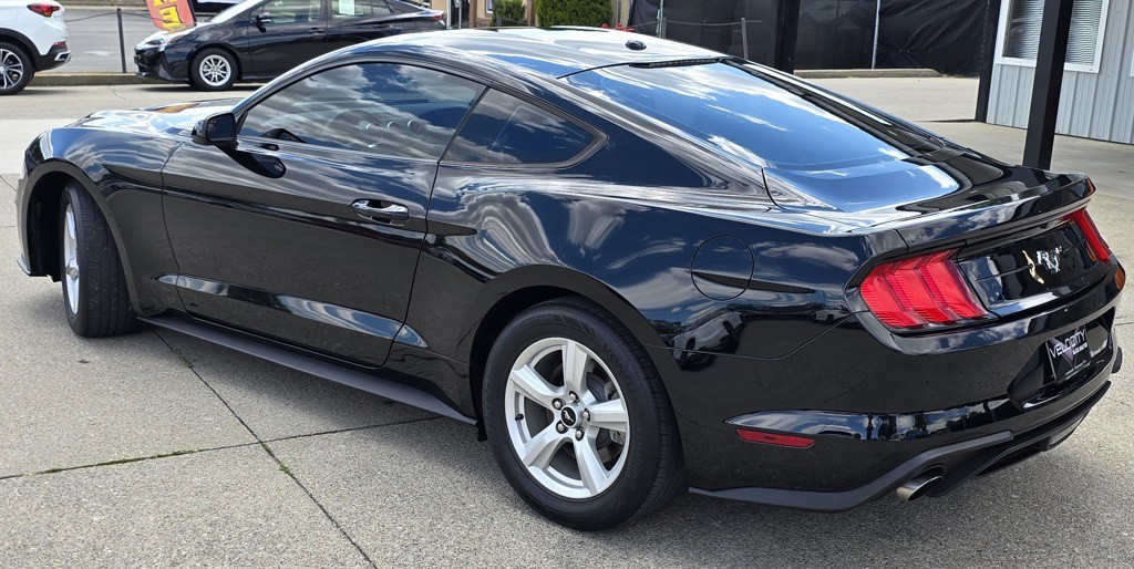 2019 Ford Mustang Image 7