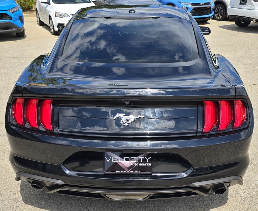 2019 Ford Mustang Image 8