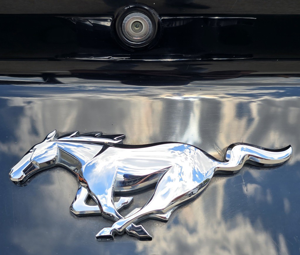 2019 Ford Mustang Image 10