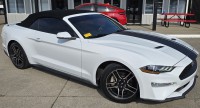 Image for 2019 Ford Mustang EcoBoost Premium ID: 6710305