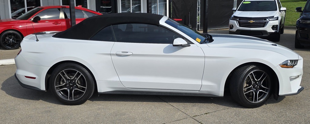 2019 Ford Mustang Image 2