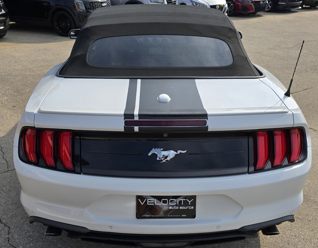 2019 Ford Mustang Image 4