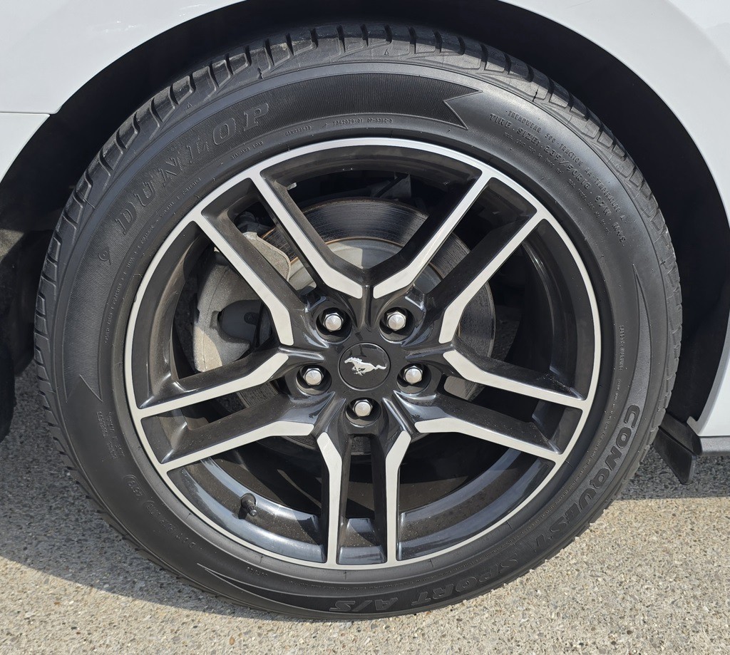 2019 Ford Mustang Image 6