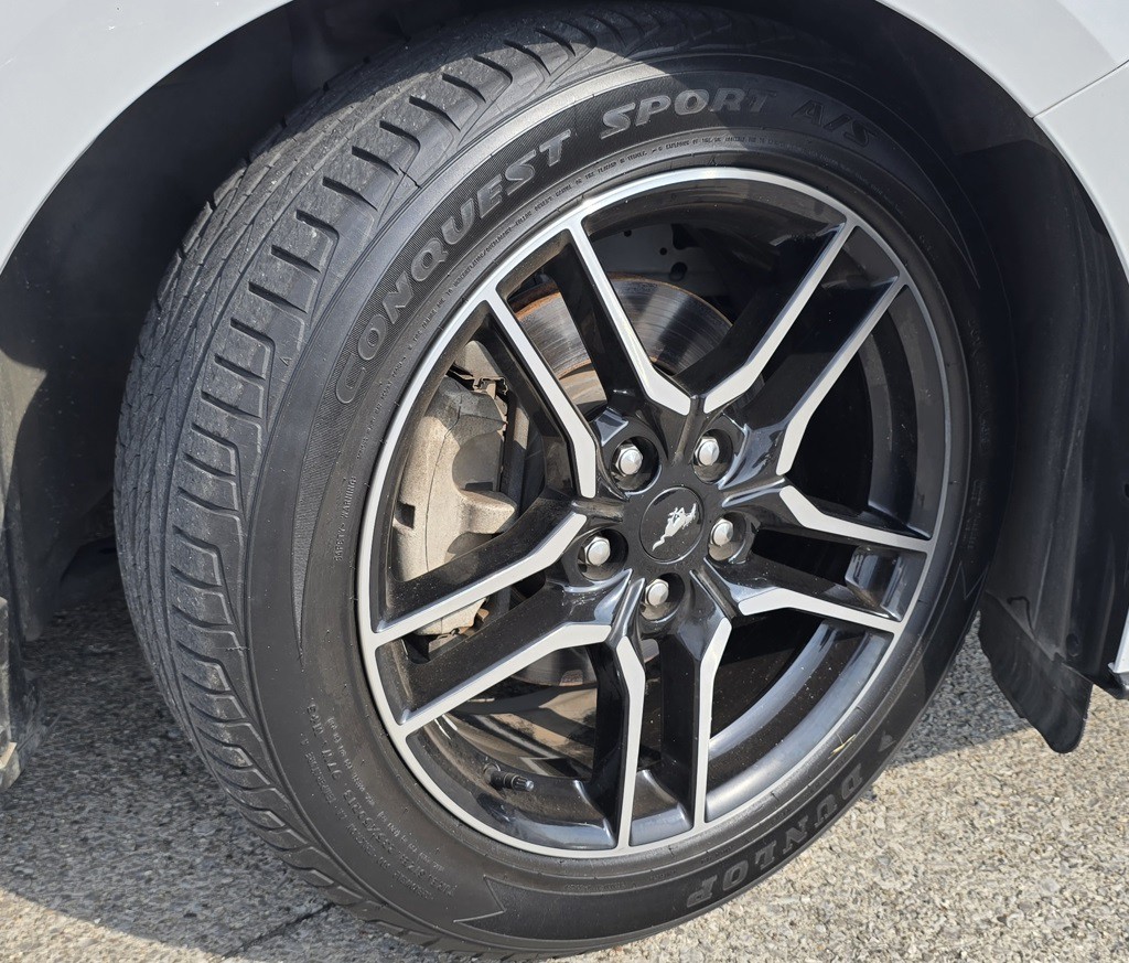 2019 Ford Mustang Image 7
