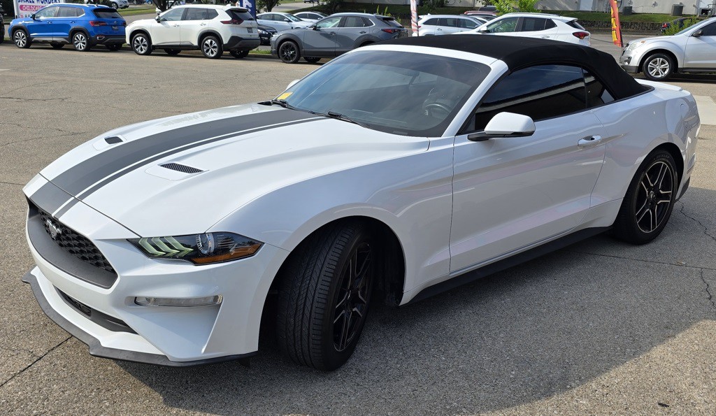 2019 Ford Mustang Image 9