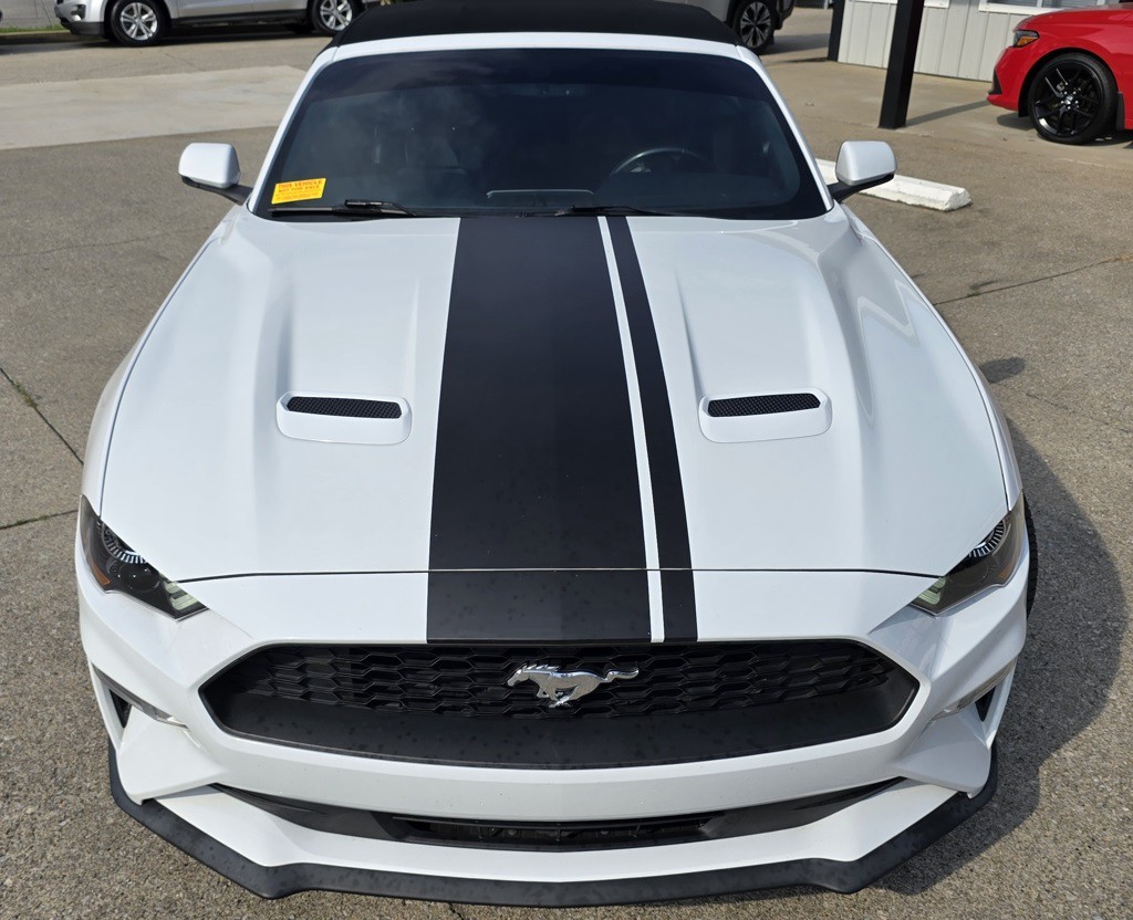 2019 Ford Mustang Image 10