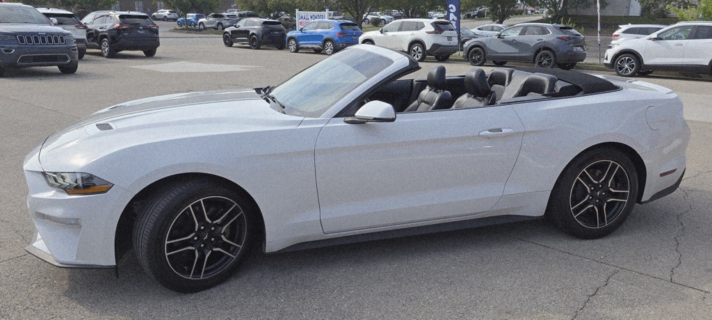 2019 Ford Mustang Image 11