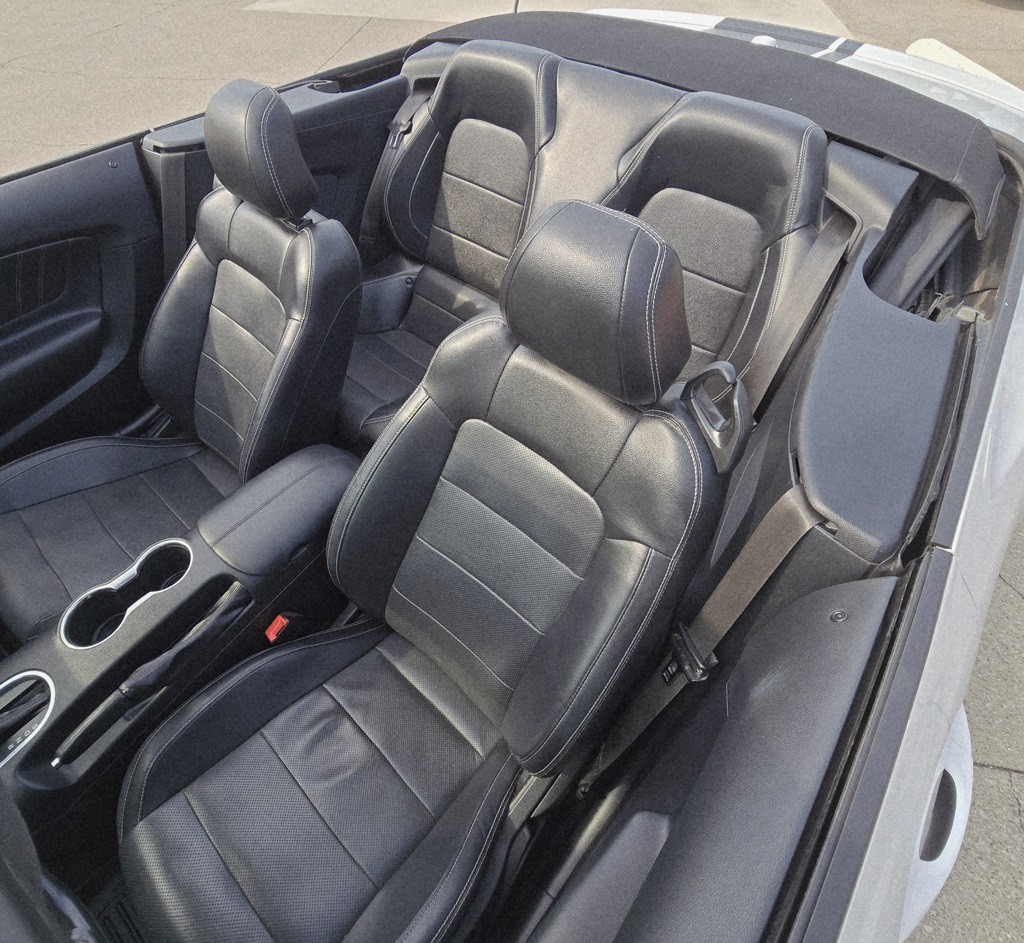 2019 Ford Mustang Image 14