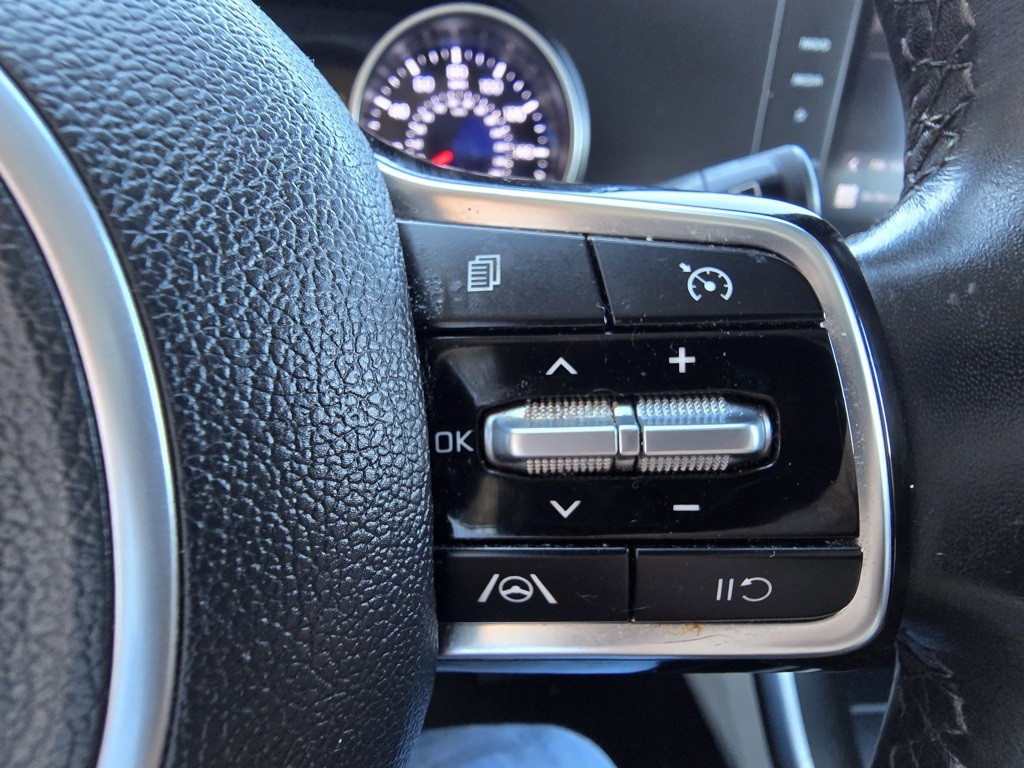 2022 Kia Carnival Image 10