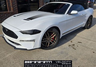 Image for 2020 Ford Mustang EcoBoost Premium ID: 7264425