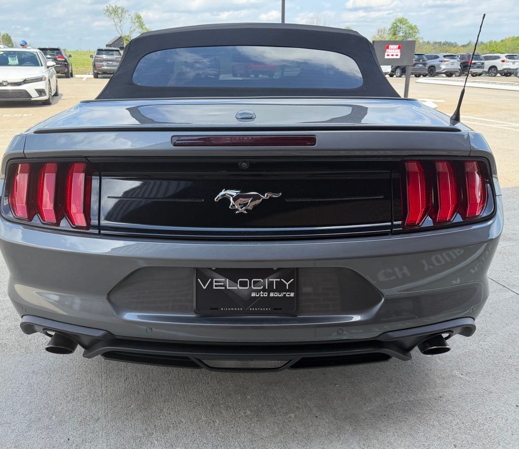 2021 Ford Mustang Image 5