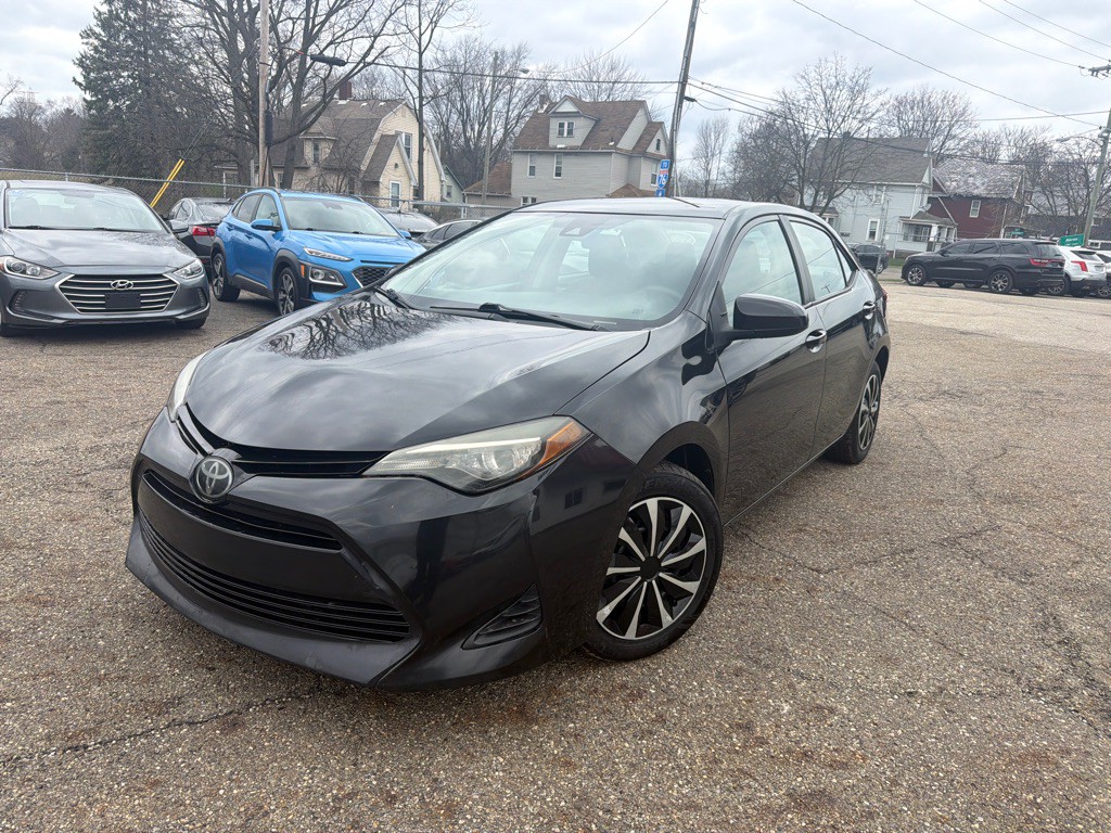 2019 Toyota Corolla Image 1