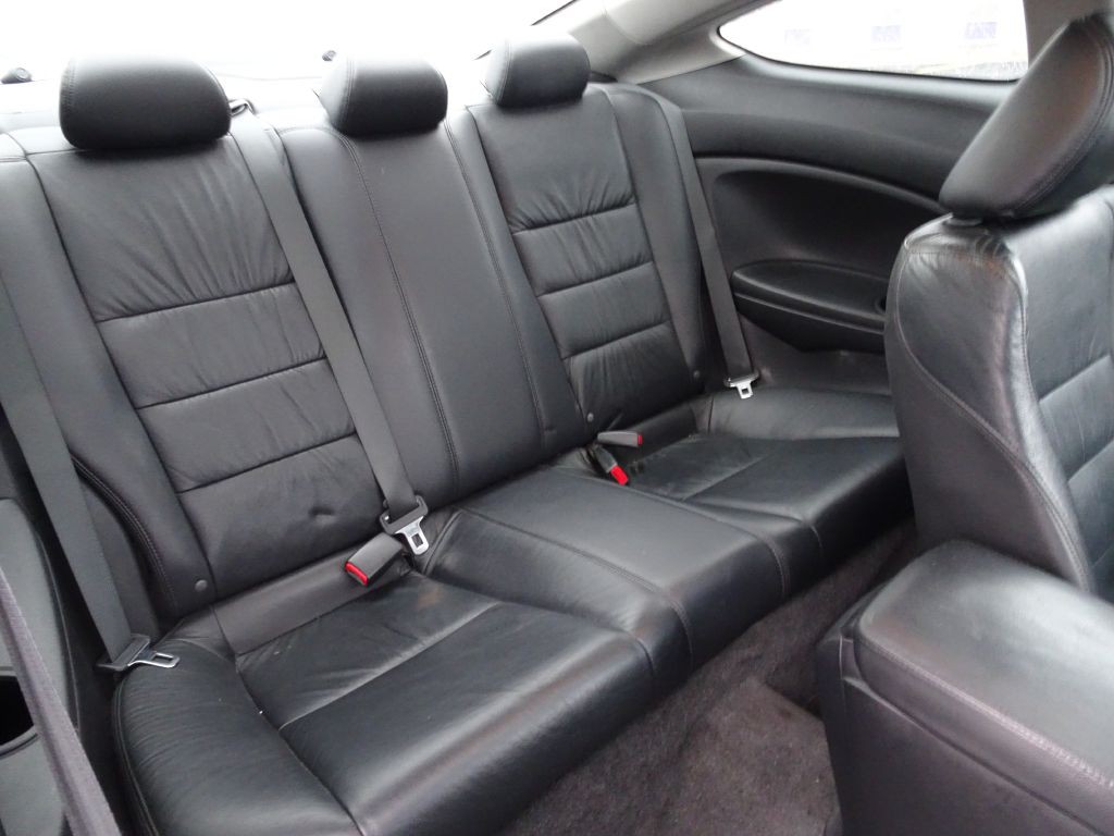 2010 Honda Accord Image 13