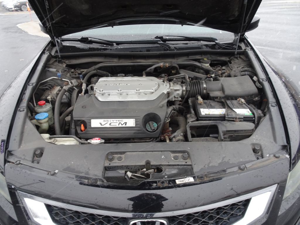 2010 Honda Accord Image 14