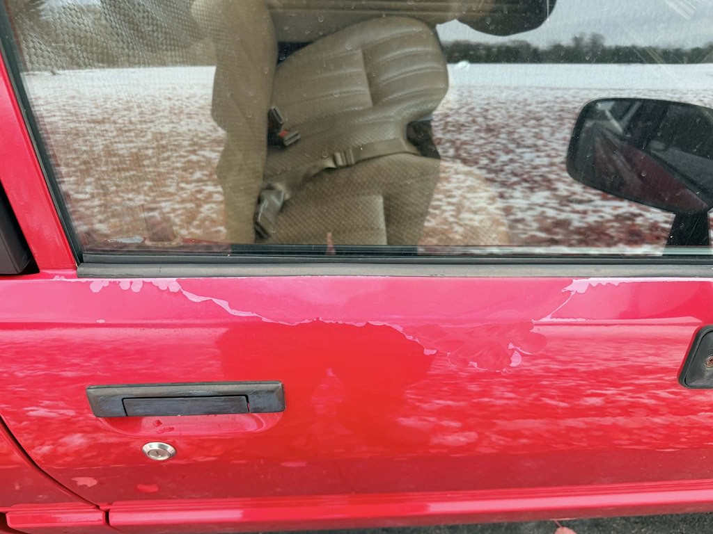 1986 Toyota Pickup Image 20