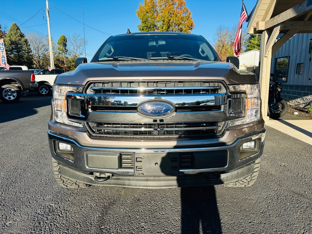 2019 Ford F-150 Image 2