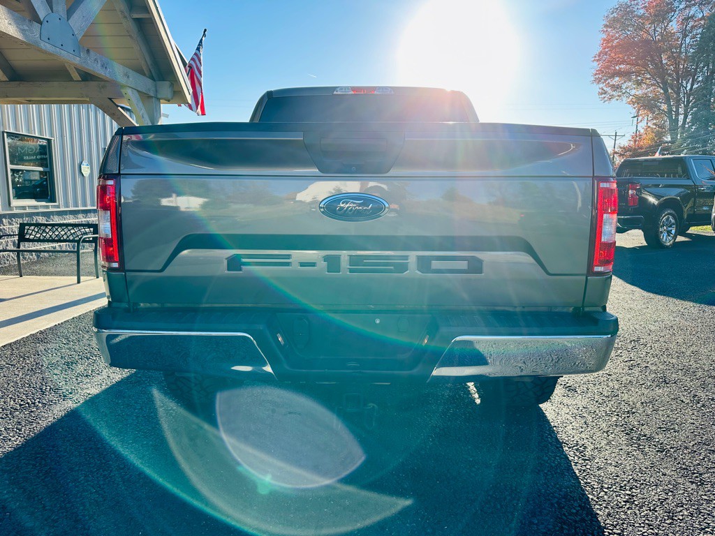 2019 Ford F-150 Image 6