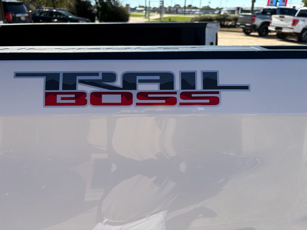 2019 Chevrolet Silverado 1500 Image 20