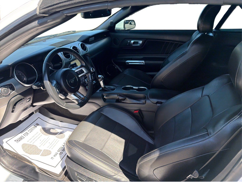 2019 Ford Mustang Image 14