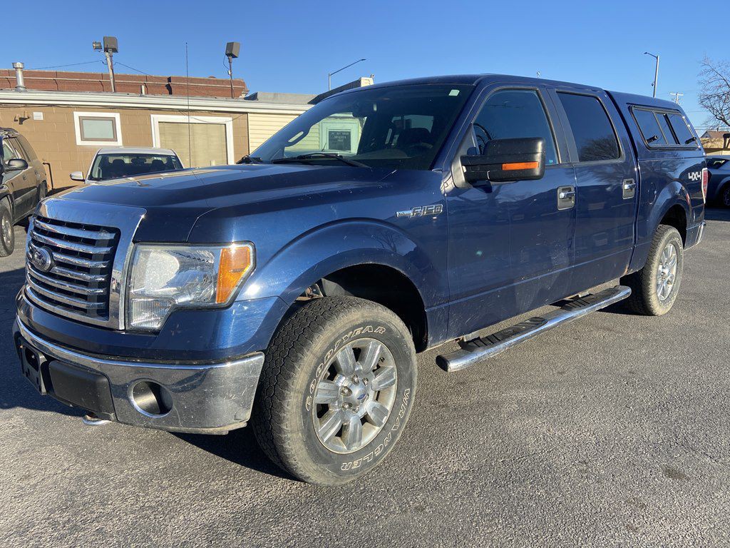 2010 Ford F-150 Image 1